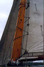 Hovedbom 2 large.jpg (101366 byte)