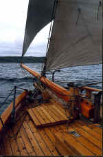 Klyverbom 3 large.jpg (120150 byte)