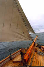 Klyverbom 4 large.jpg (98342 byte)